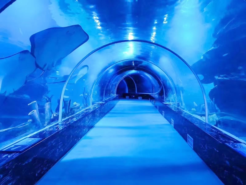 海洋隧道造景